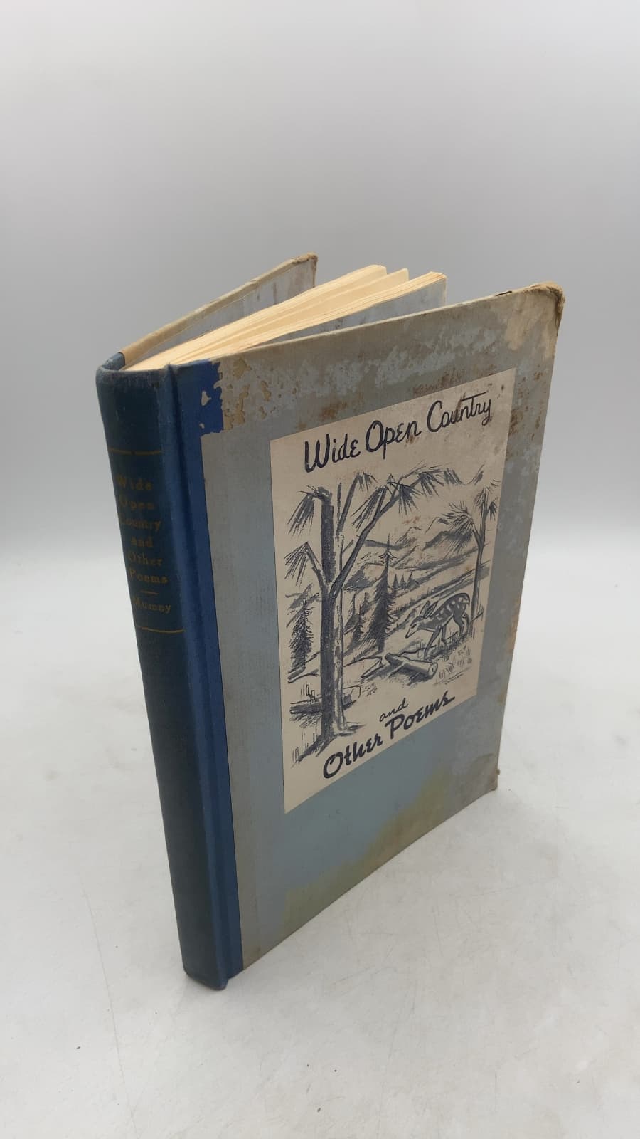 Wide Open Country and Other Poems by Nolie Mumey - front cover