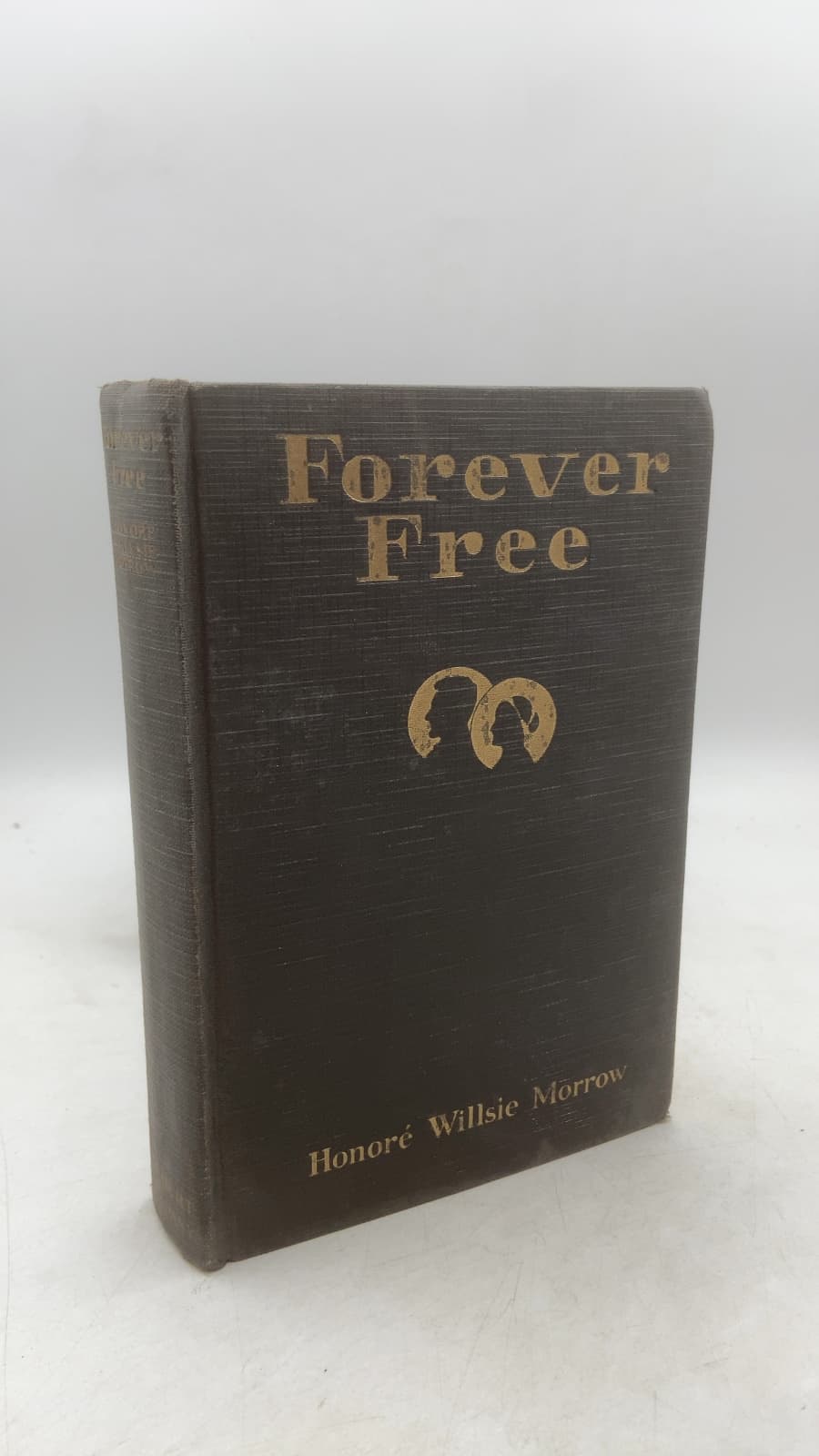 Forever Free by Honoré Willsie Morrow - front cover