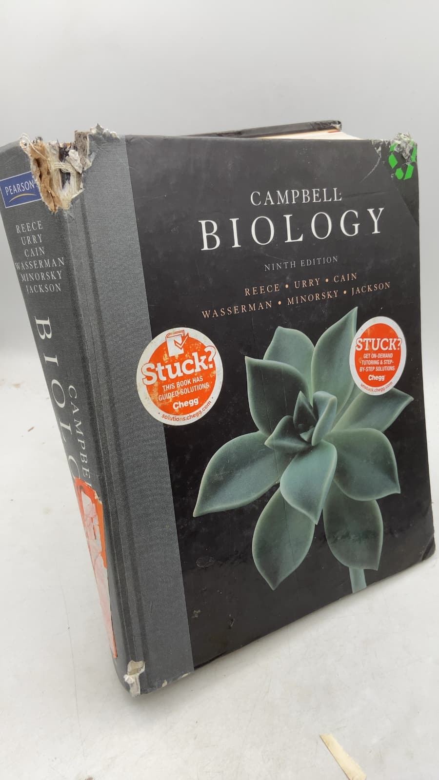 Campbell Biology, Ninth Edition by Jane B. Reece, Lisa A. Urry, Michael L. Cain, Steven A. Wasserman, Peter V. Minorsky, Robert B. Jackson - front cover