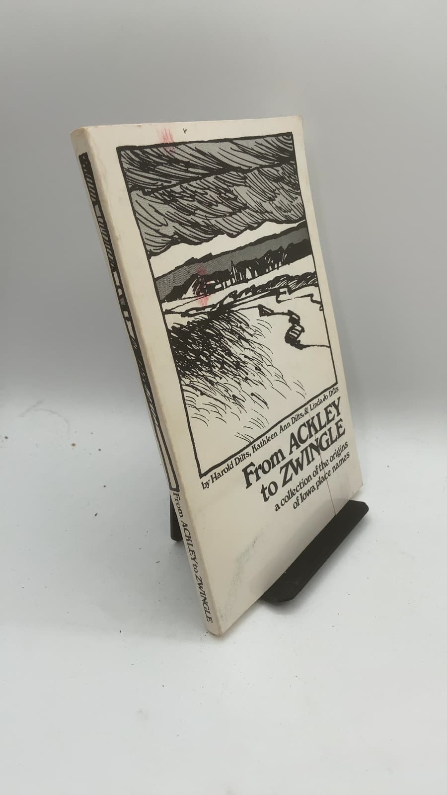 From Ackley to Zwingle: A Collection of the Origins of Iowa Place Names by Harold E. Dilts, Kathleen Ann Dilts, and Linda Jo Dilts - front cover