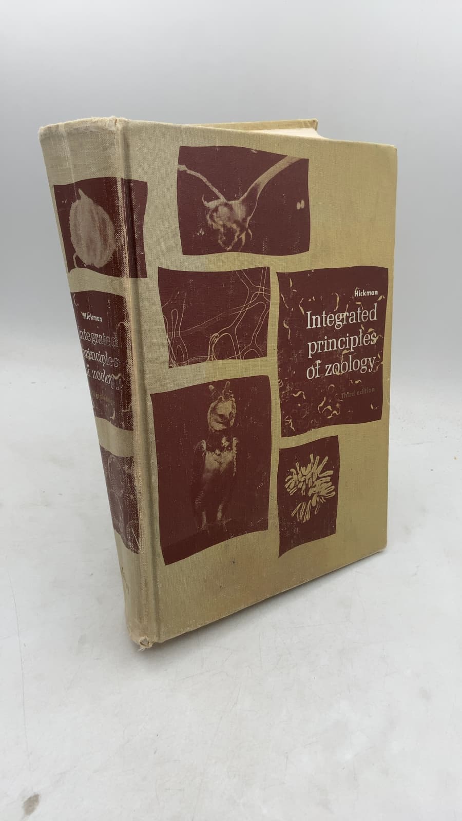 Integrated principles of zoology by Cleveland P. Hickman - front cover