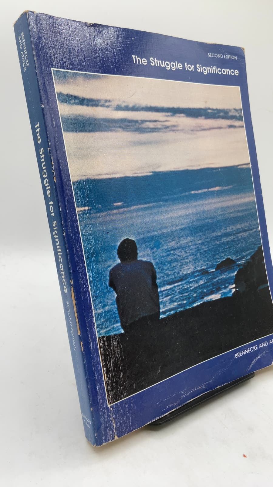 The Struggle for Significance by John H. Brennecke and Robert G. Amick - front cover