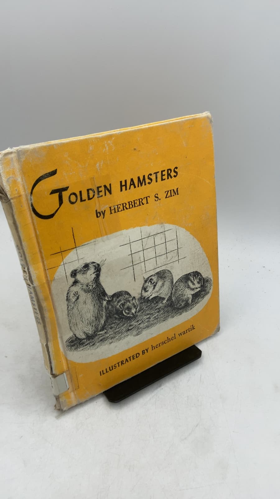 Golden Hamsters by Herbert S. Zim - front cover