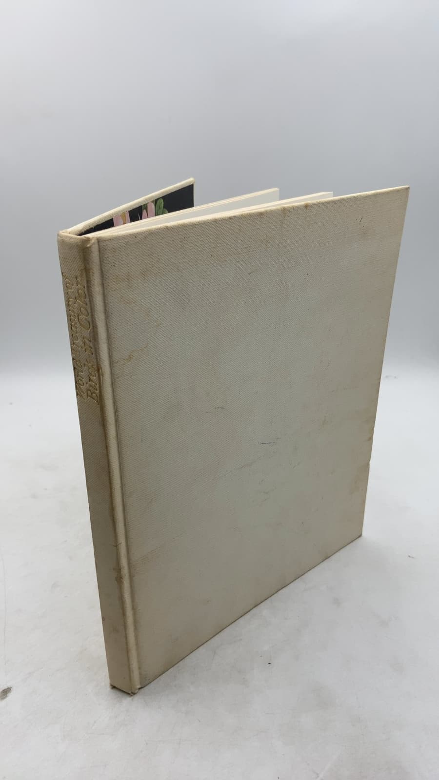 World Treasury of Birds in Color by Cecil Madsen - front cover