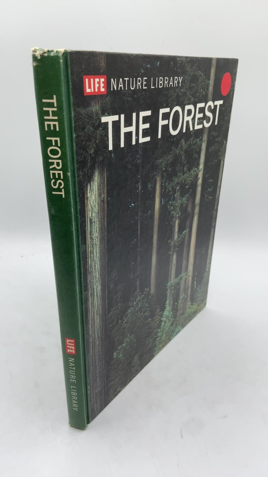 THE Forest