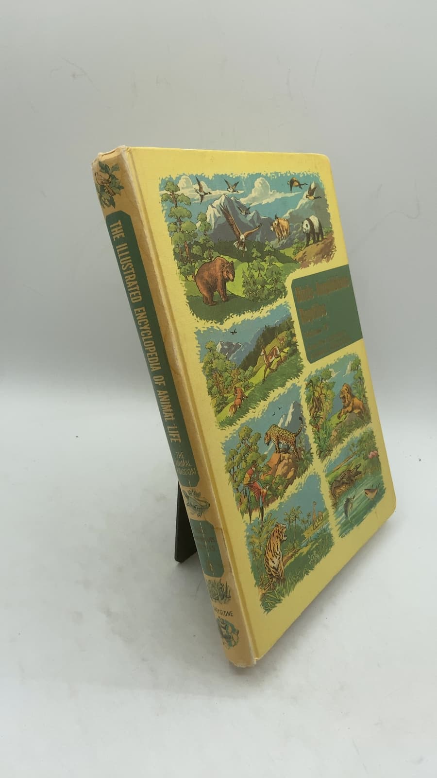 The Illustrated Encyclopedia of Animal Life: The Animal Kingdom by Frederick Drimmer, M.A. - front cover