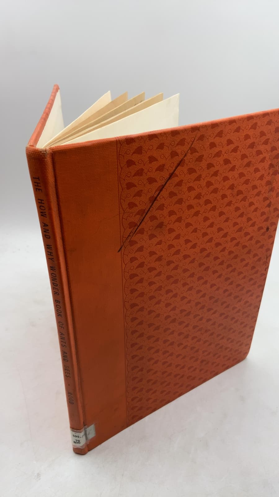 The How and Why Wonder Book of Ants and Bees by Ronald N. Rood - front cover