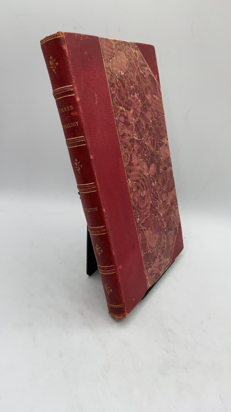 Record of the Descendants of William Sumner, of Dorchester, Mass., 1636 by William Sumner Appleton - front cover