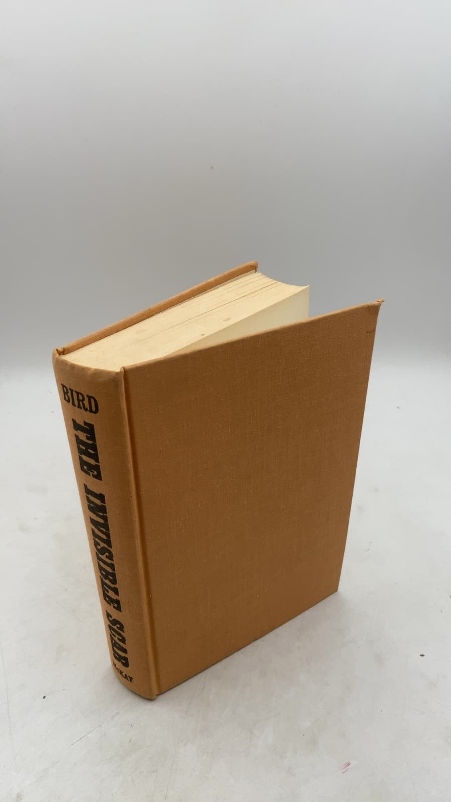 The Invisible Scar by Caroline Bird - front cover