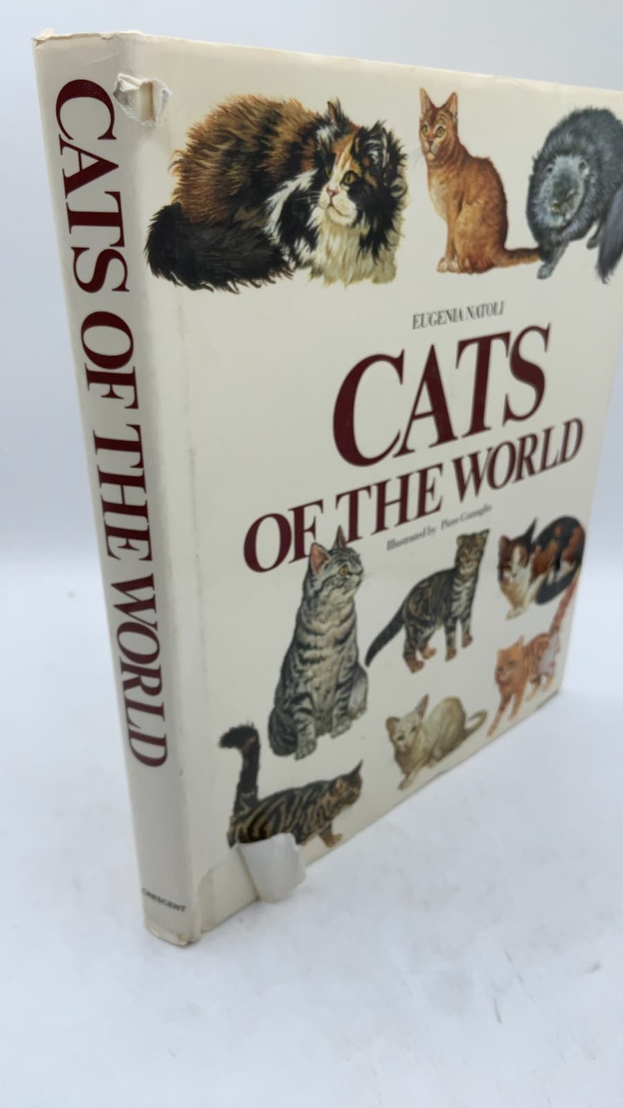 Cats OF THE World by Eugenia Natoli - front cover