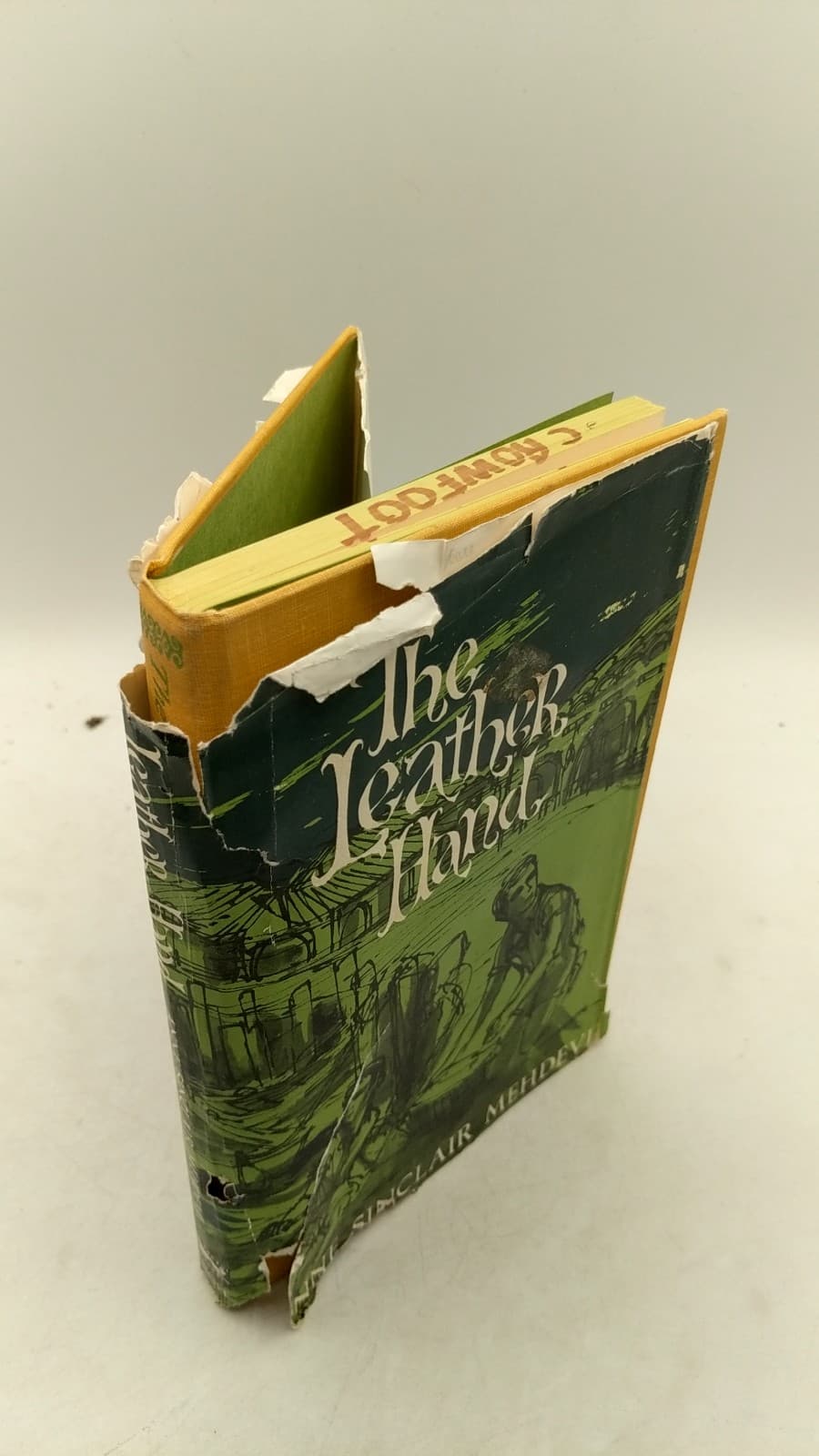 The Leather Hand by Anne Sinclair Mehdevi - front cover