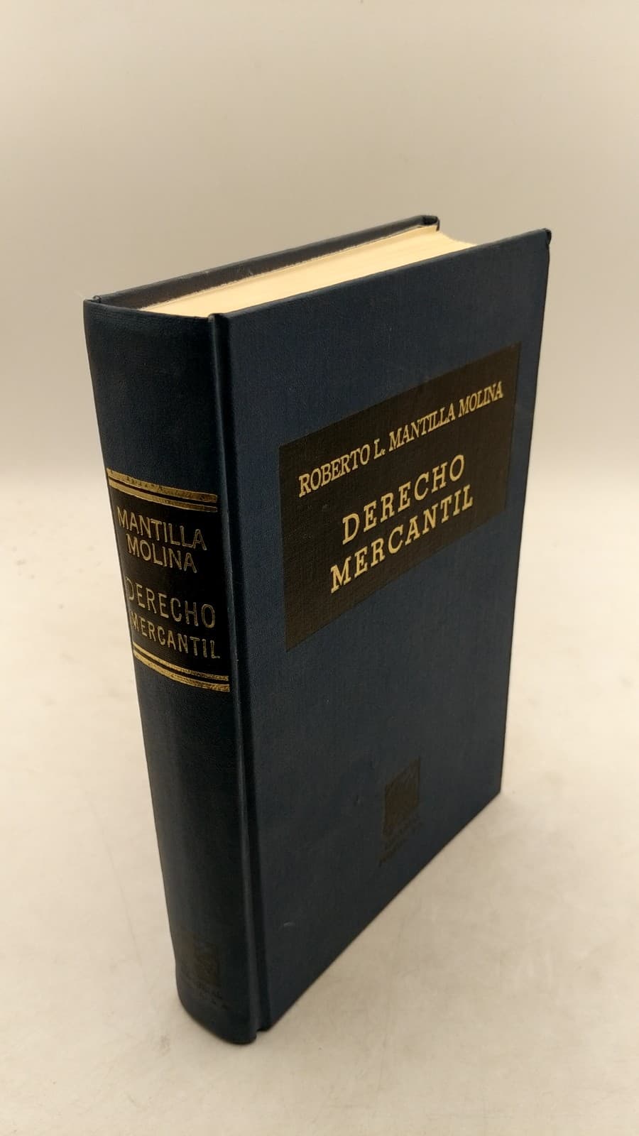Derecho Mercantil: Introducción y Conceptos Fundamentales Sociedades