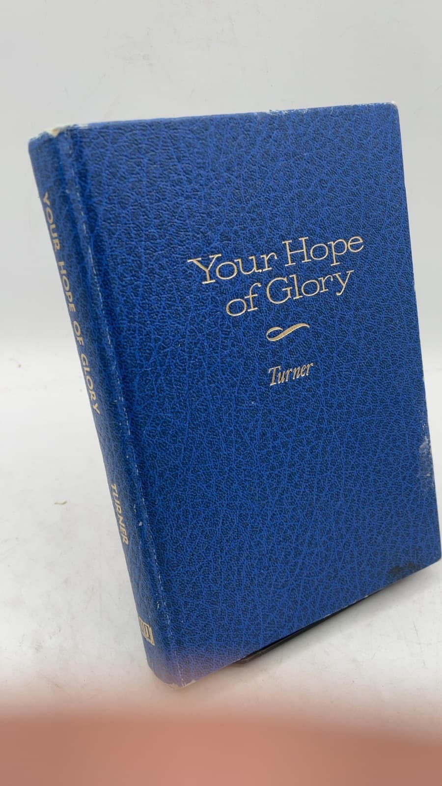 Your Hope of Glory: The Life and Teachings of Jesus by Elizabeth Sand Turner - front cover