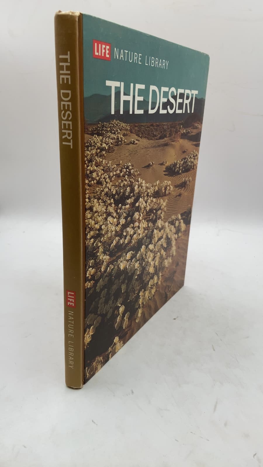 THE Desert
