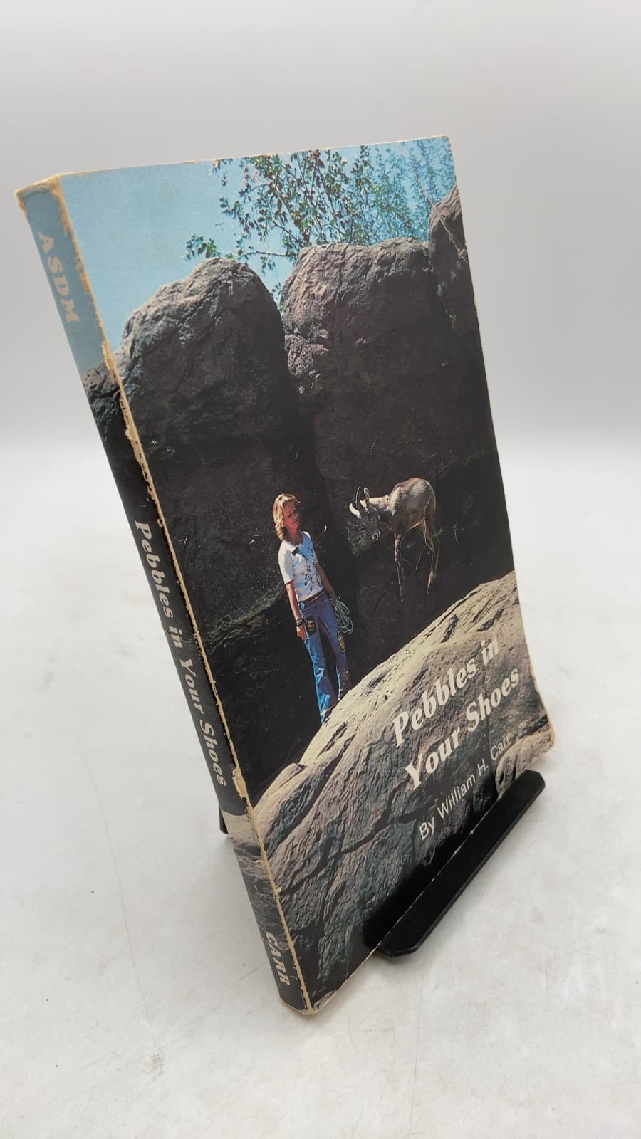 Pebbles in Your Shoes: The Story of How the Arizona-Sonora Desert Museum Began and Grew by William H. Carr - front cover