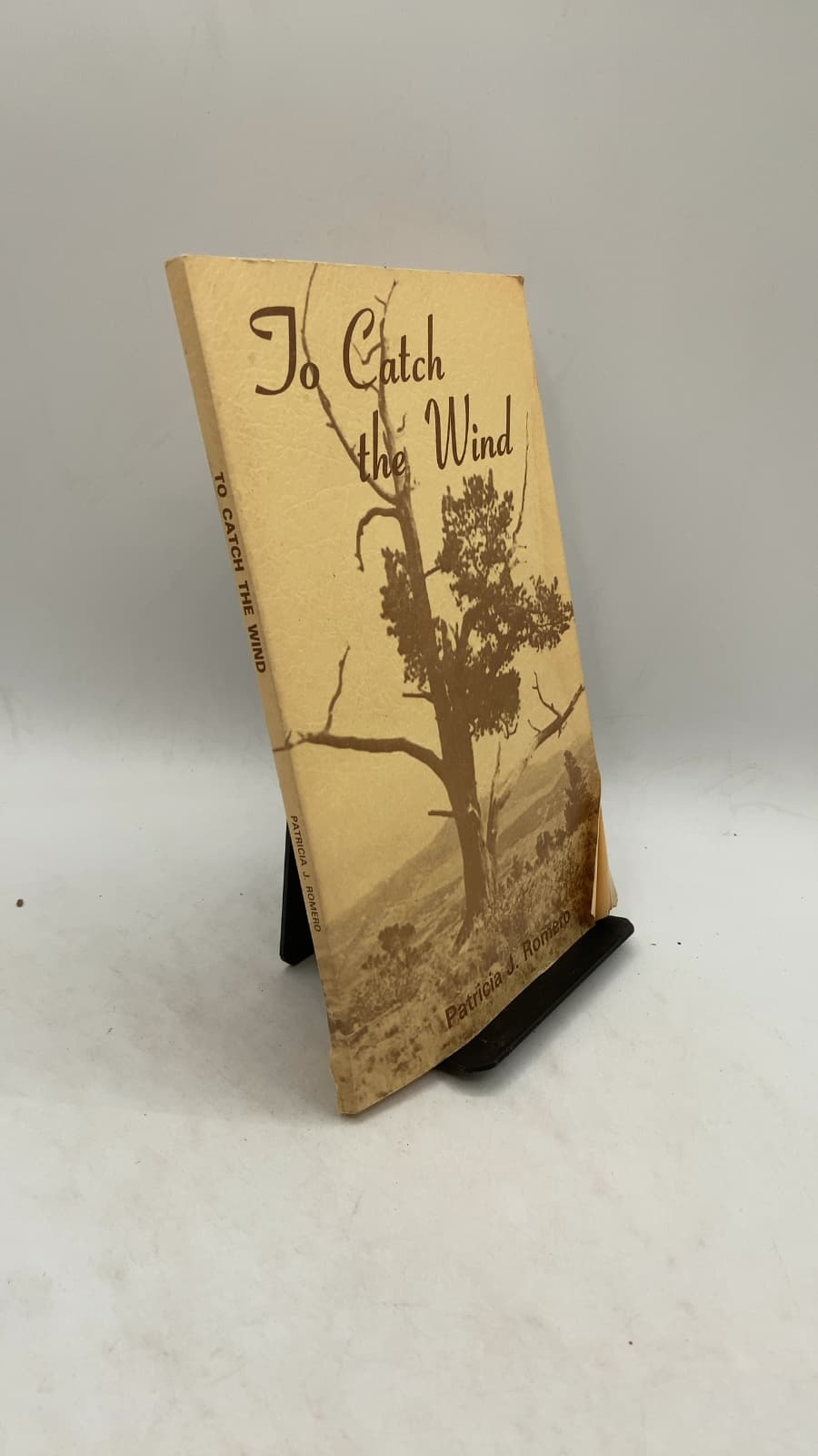 To Catch the Wind by Patricia J. Romero - front cover