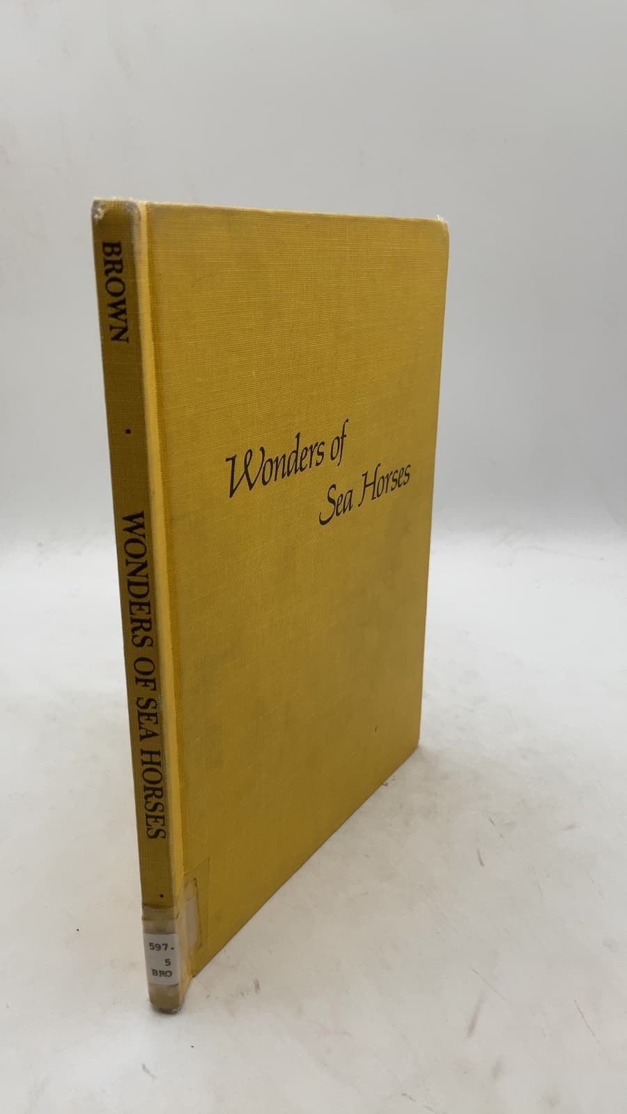 Wonders of Sea Horses by Anne Ensign Brown - front cover