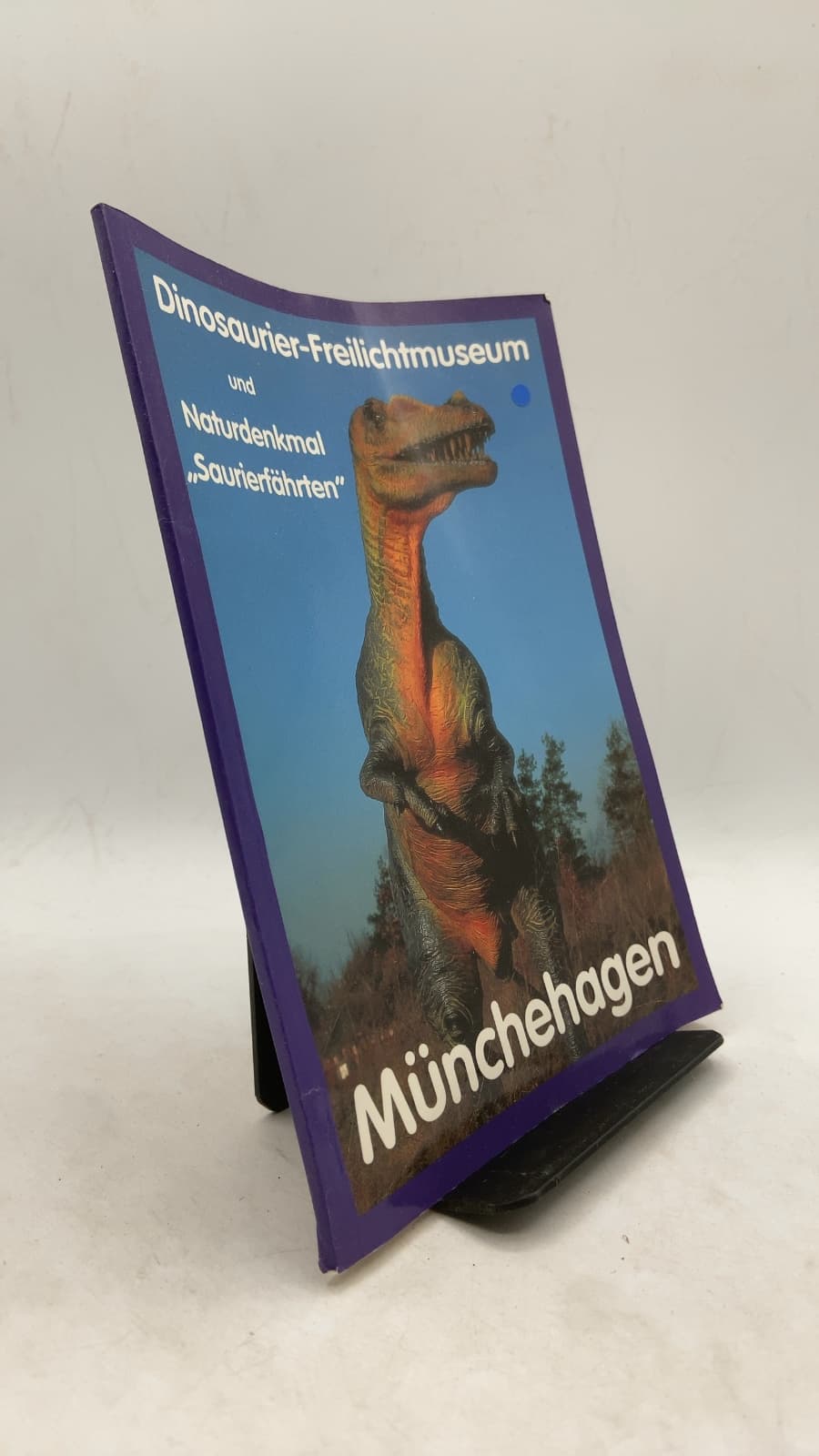 Das Dinosaurier-Freilichtmuseum Münchehagen und das Naturdenkmal 'Saurierfährten Münchehagen' by Prof. Dr. R. Fischer und Priv. Doz. Dr. D. Thies - front cover