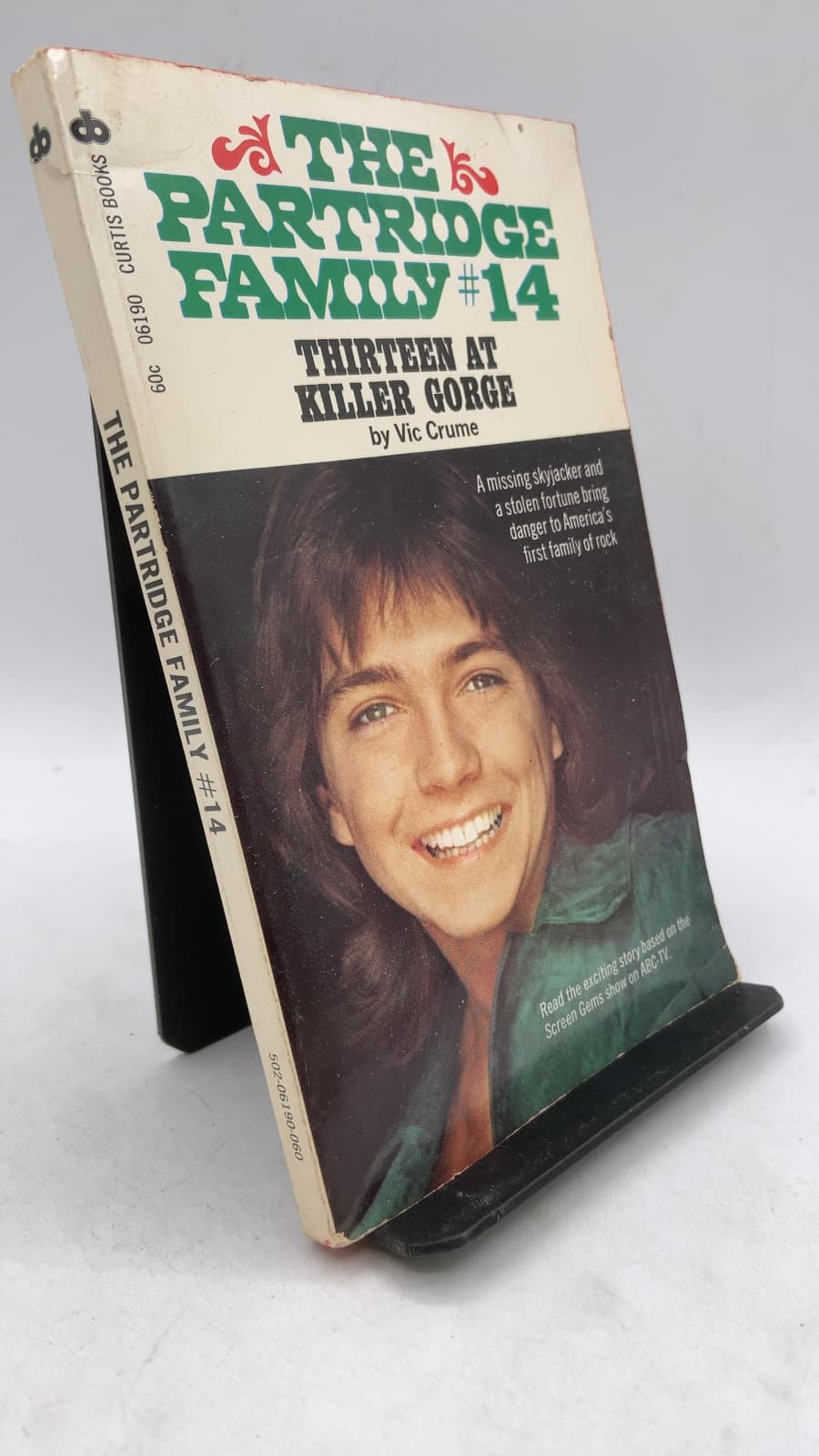 The Partridge Family #14: Thirteen at Killer Gorge
