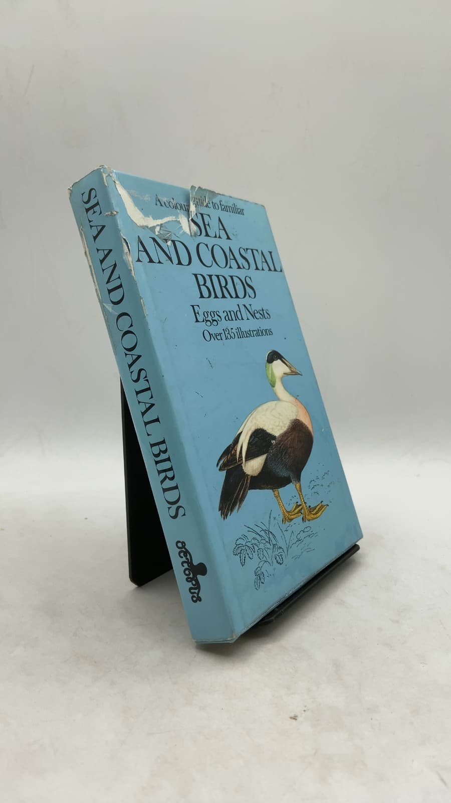 A Colour Guide to Familiar Sea and Coastal Birds by Jiří Felix - front cover