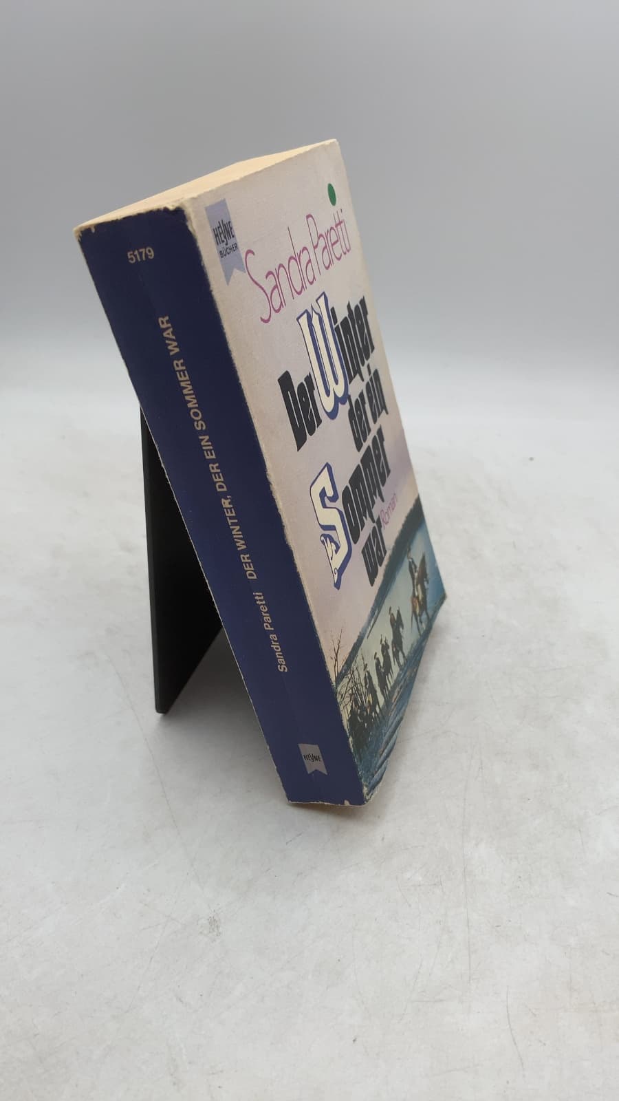 Der Winter, der ein Sommer war by Sandra Paretti - front cover