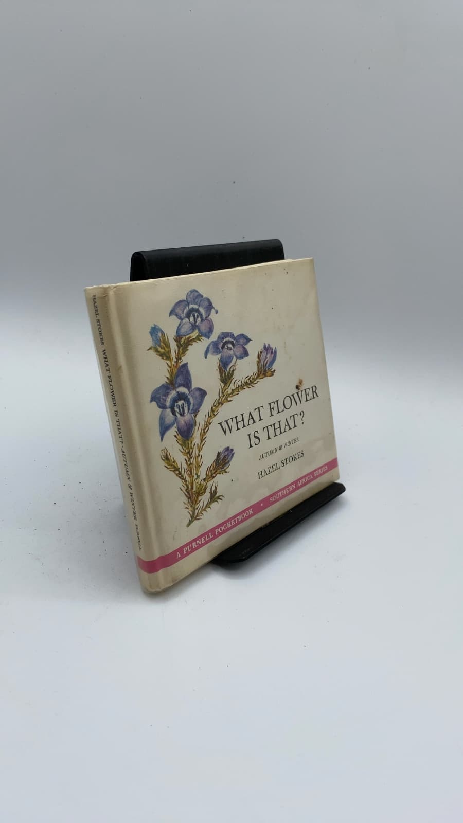 What Flower Is That? Autumn & Winter by Hazel Stokes - front cover