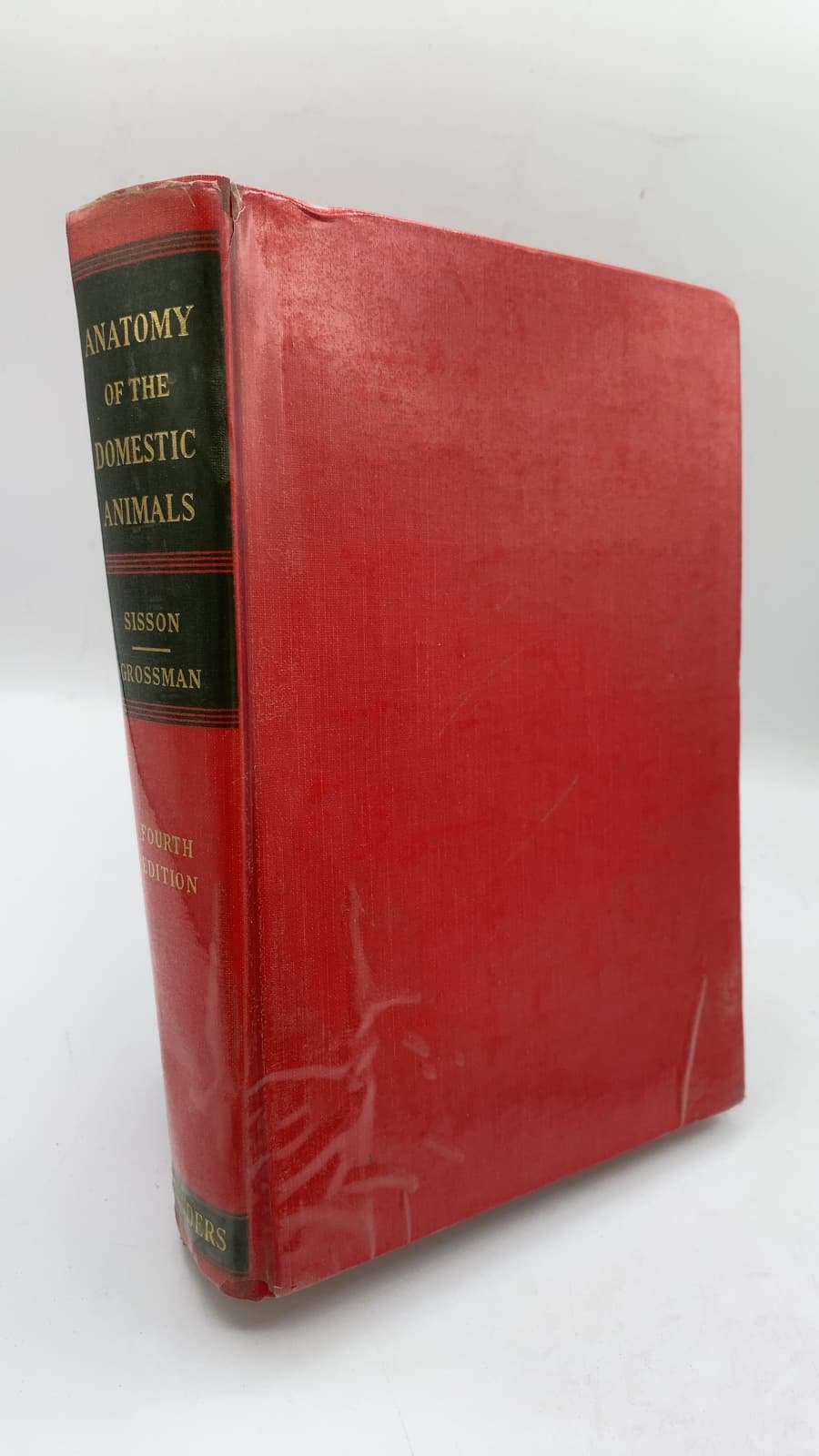 THE Anatomy OF THE Domestic Animals by Septimus Sisson, revised by James Daniels Grossman - front cover