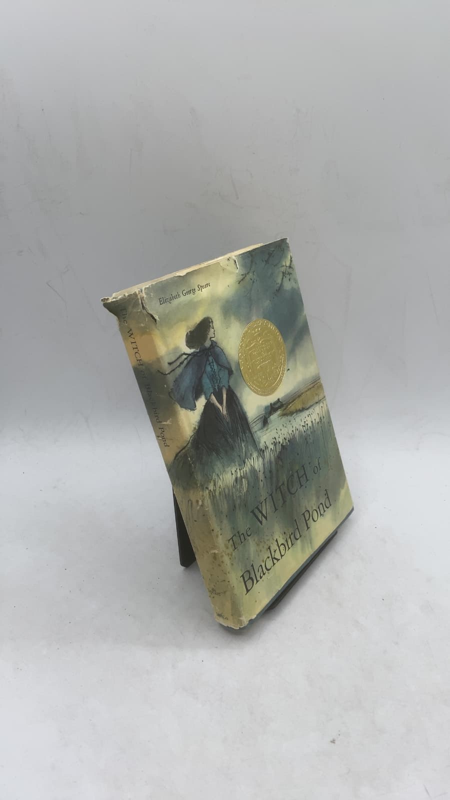 The Witch of Blackbird Pond by Elizabeth George Speare - front cover