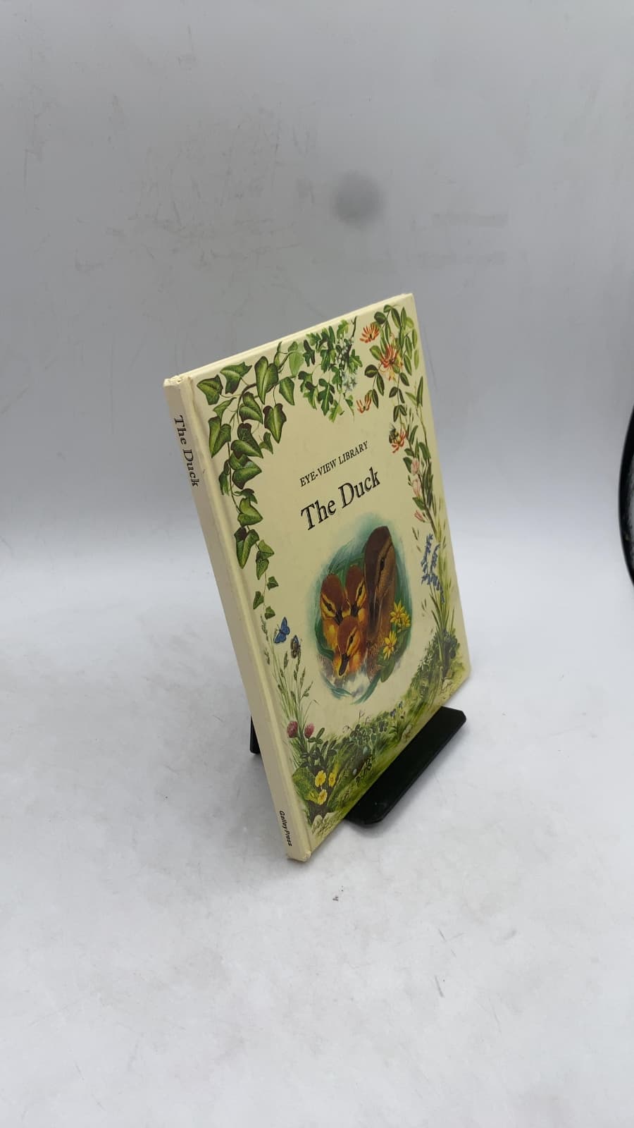 The Duck by Angela Sheehan - front cover