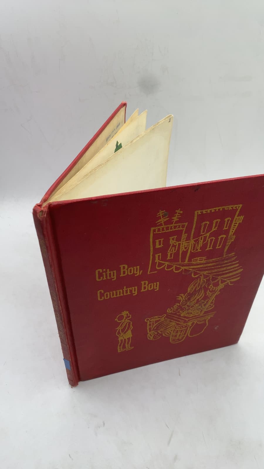 City Boy, Country Boy by Miriam Schlein - front cover