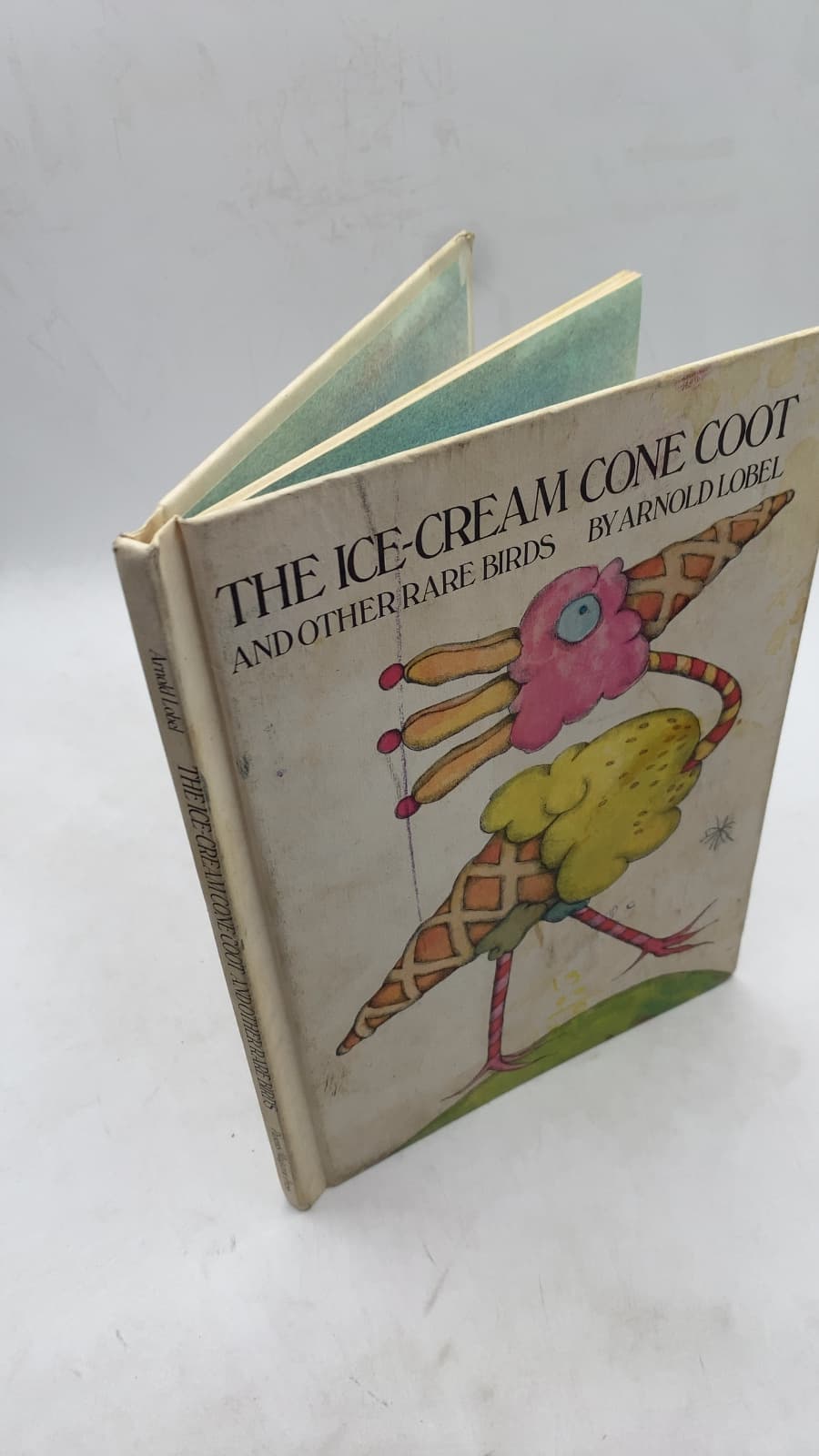THE ICE-Cream Cone Coot AND Other Rare Birds
