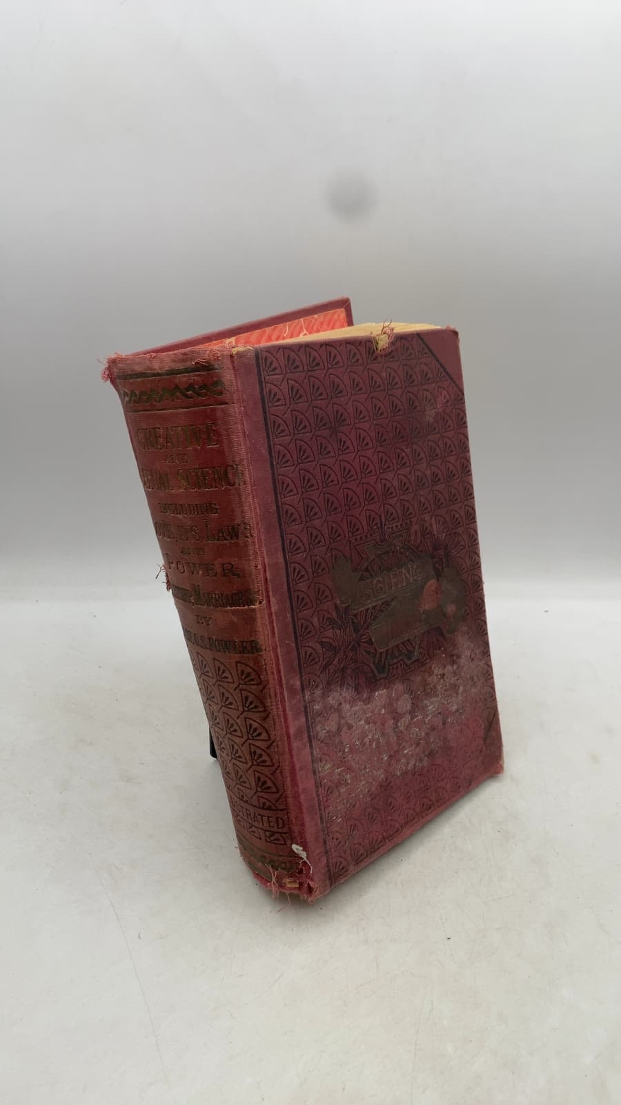 Creative and Sexual Science: Embracing Manhood, Womanhood, and Their Mutual Interrelations; Love, Its Laws, Power, Etc. by O. S. Fowler - front cover