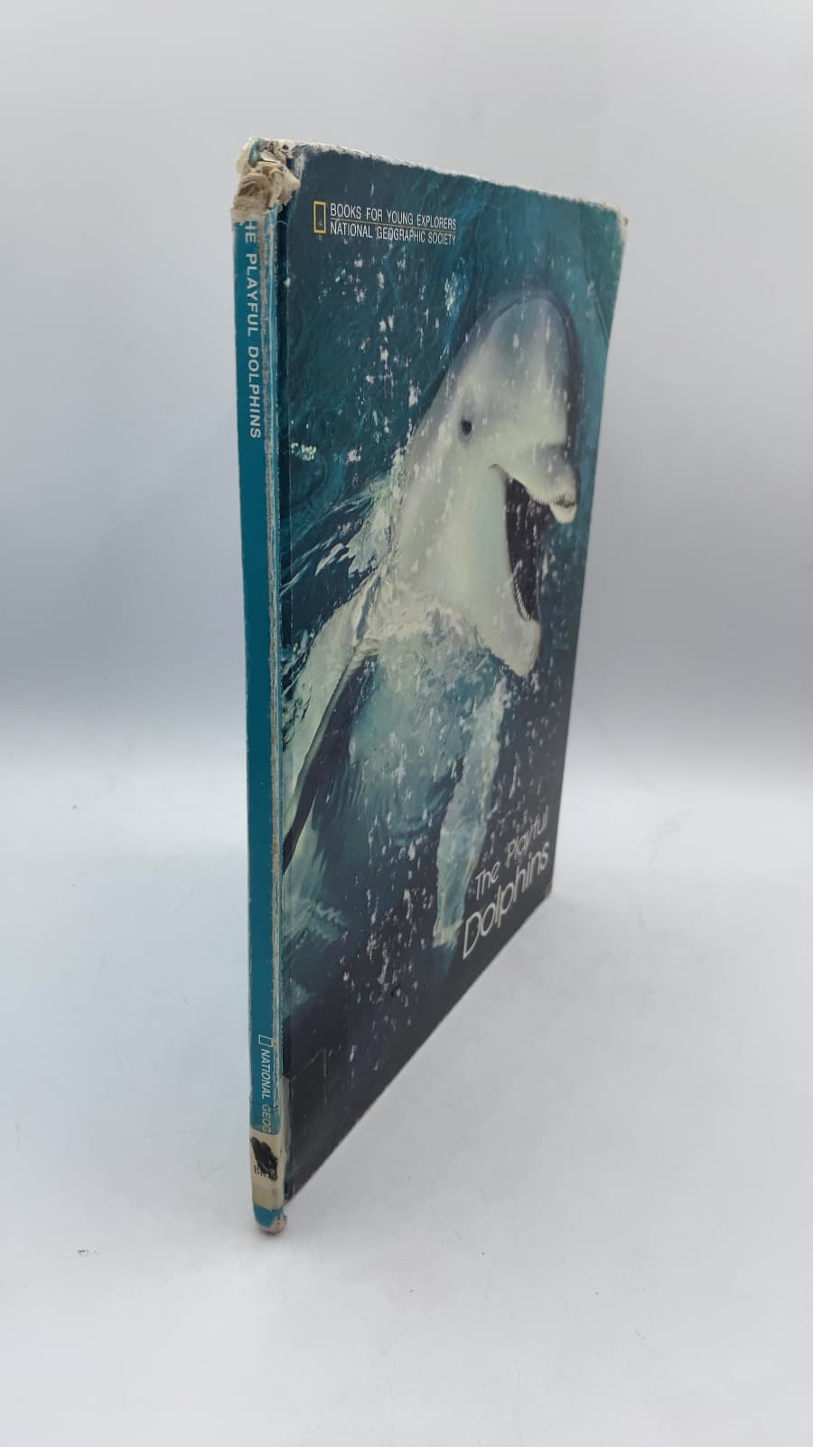 The Playful Dolphins by Linda McCarter Bridge - front cover