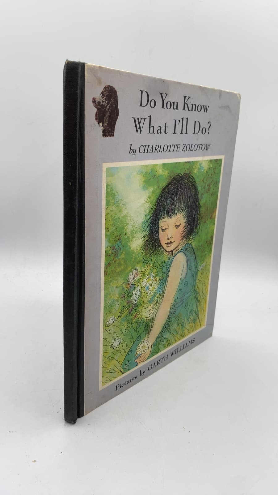Do You Know What I'll Do?