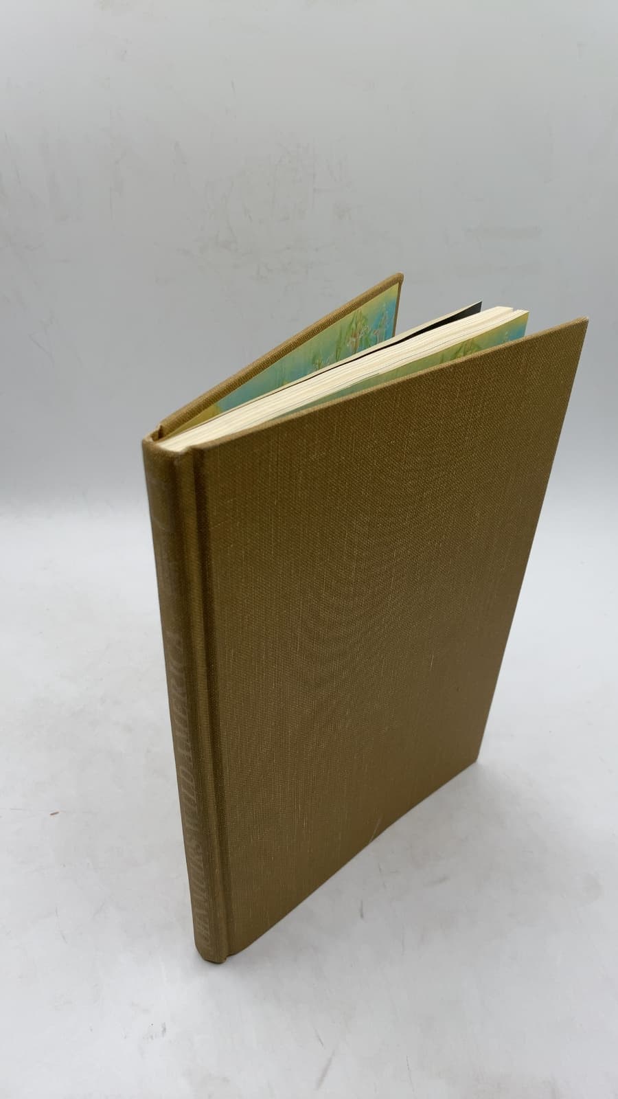 John Muir's Wild America by Tom Melham - front cover