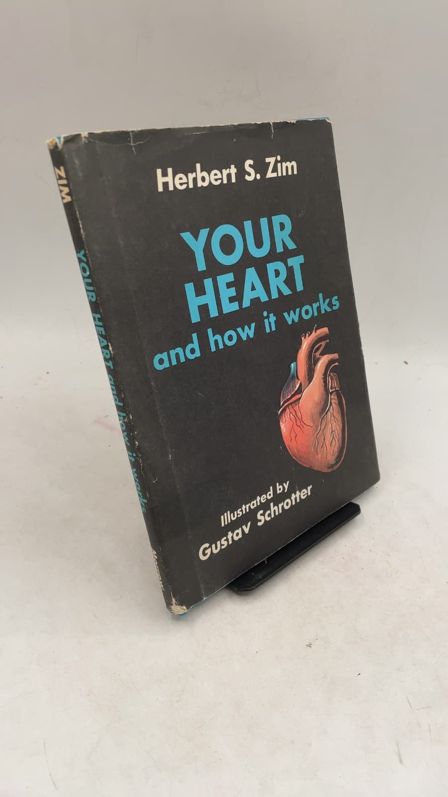 Your Heart and How It Works