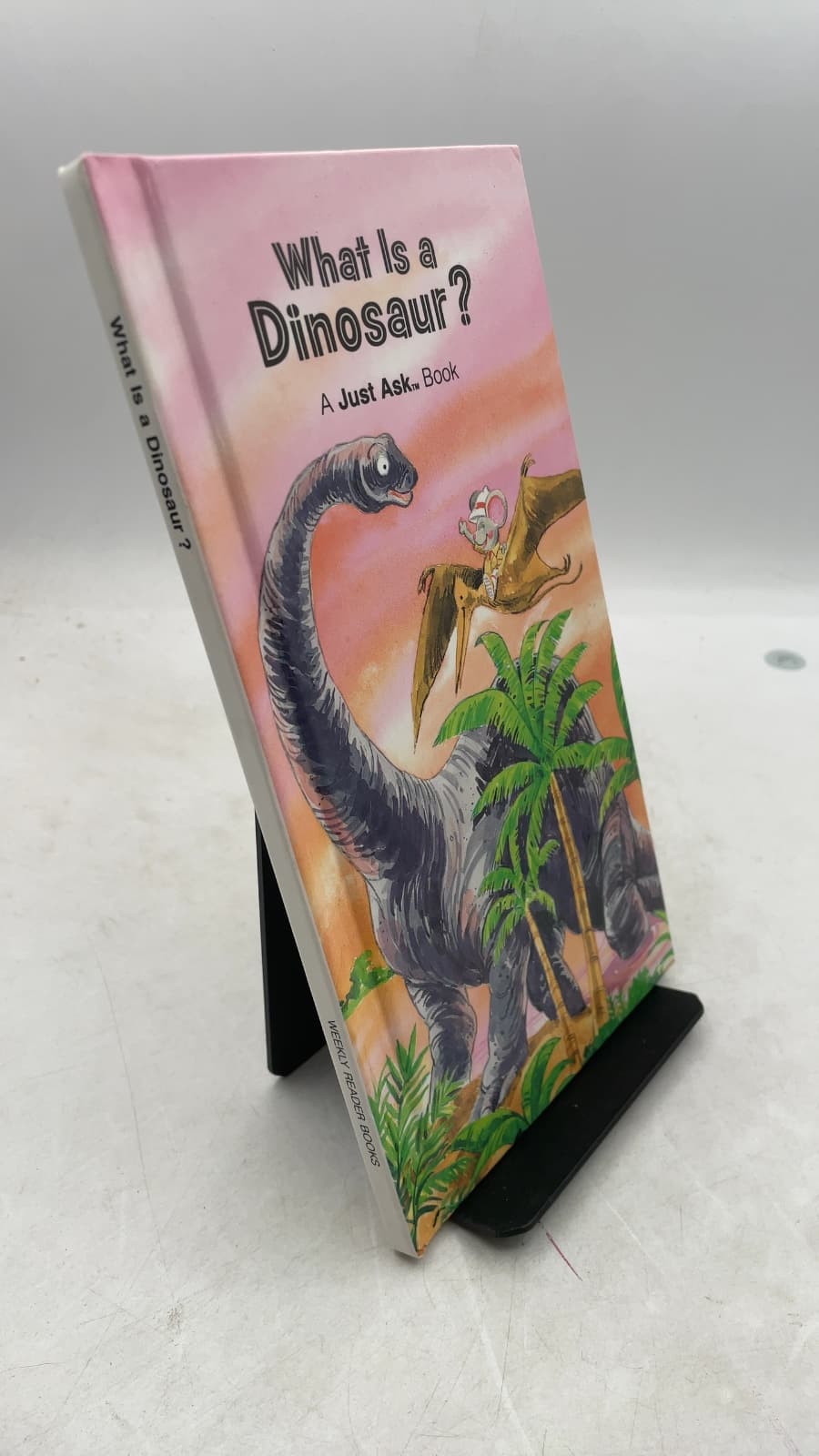What Is a Dinosaur?