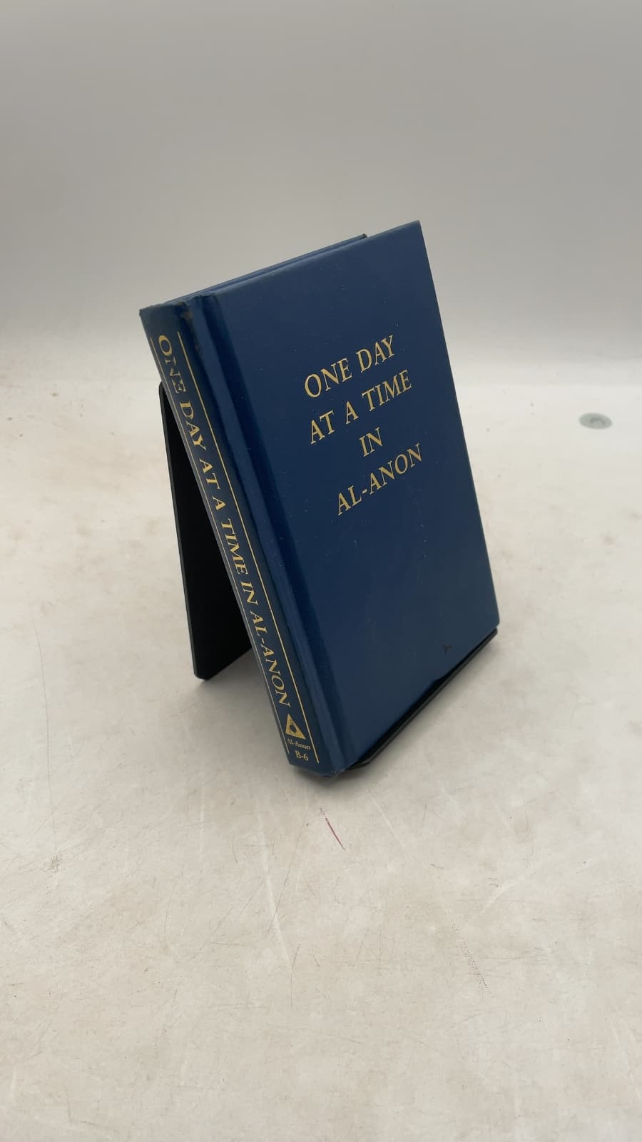 ONE DAY AT A Time IN AL-Anon - front cover