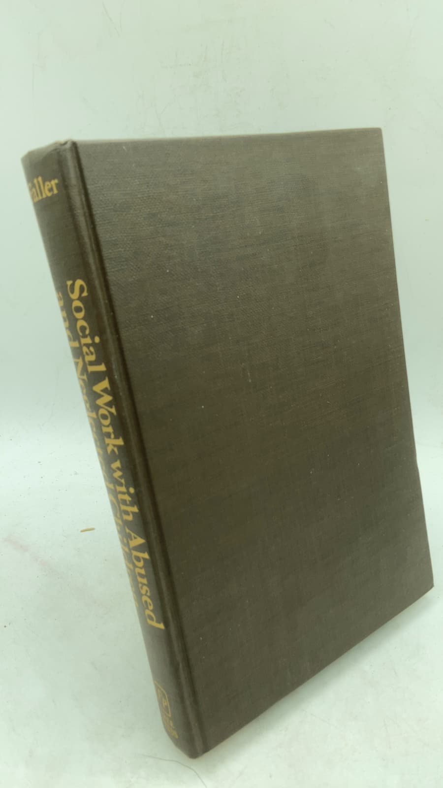 Social Work with Abused and Neglected Children: A Manual of Interdisciplinary Practice by Kathleen Coulborn Faller - front cover