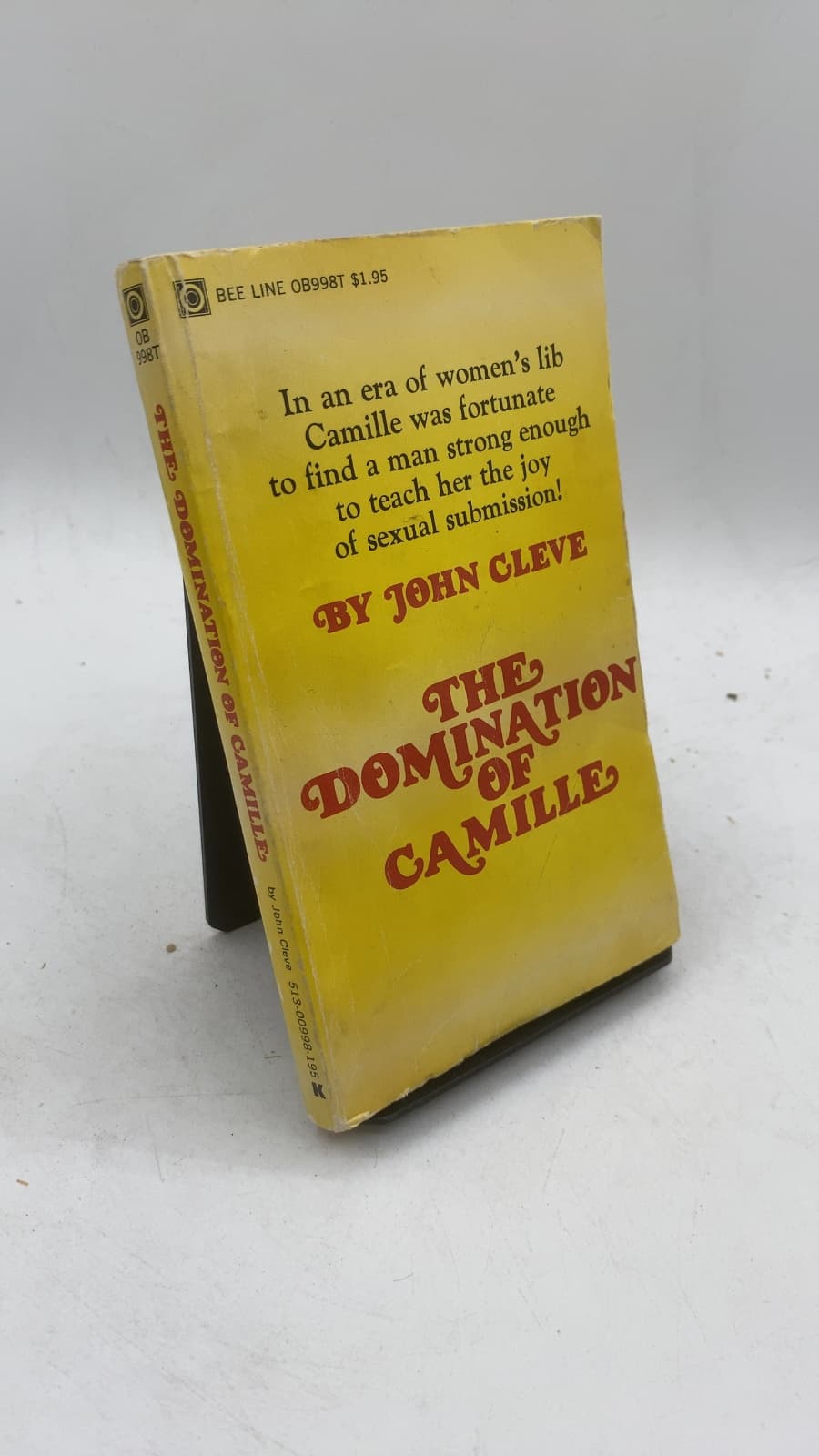 THE Domination OF Camille by John Cleve - front cover