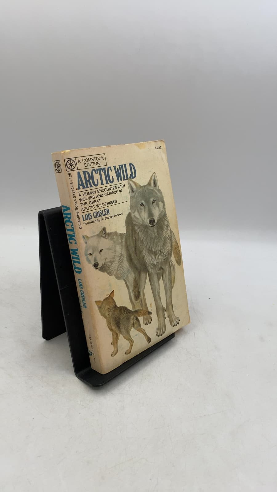 Arctic Wild