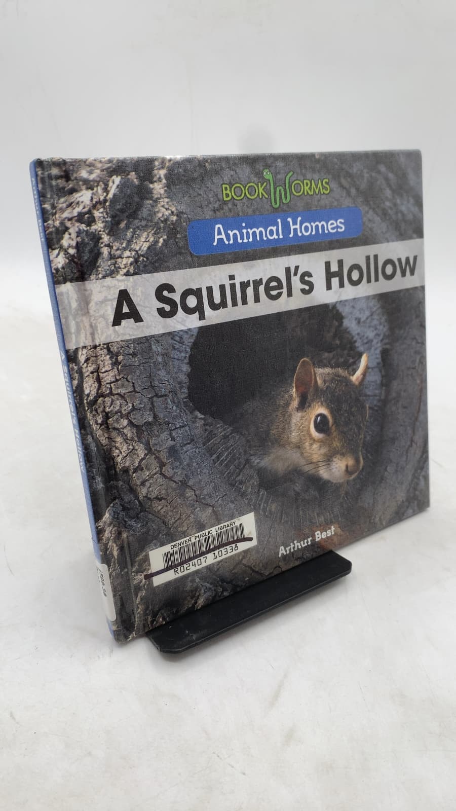 A Squirrel's Hollow by Arthur Best - front cover