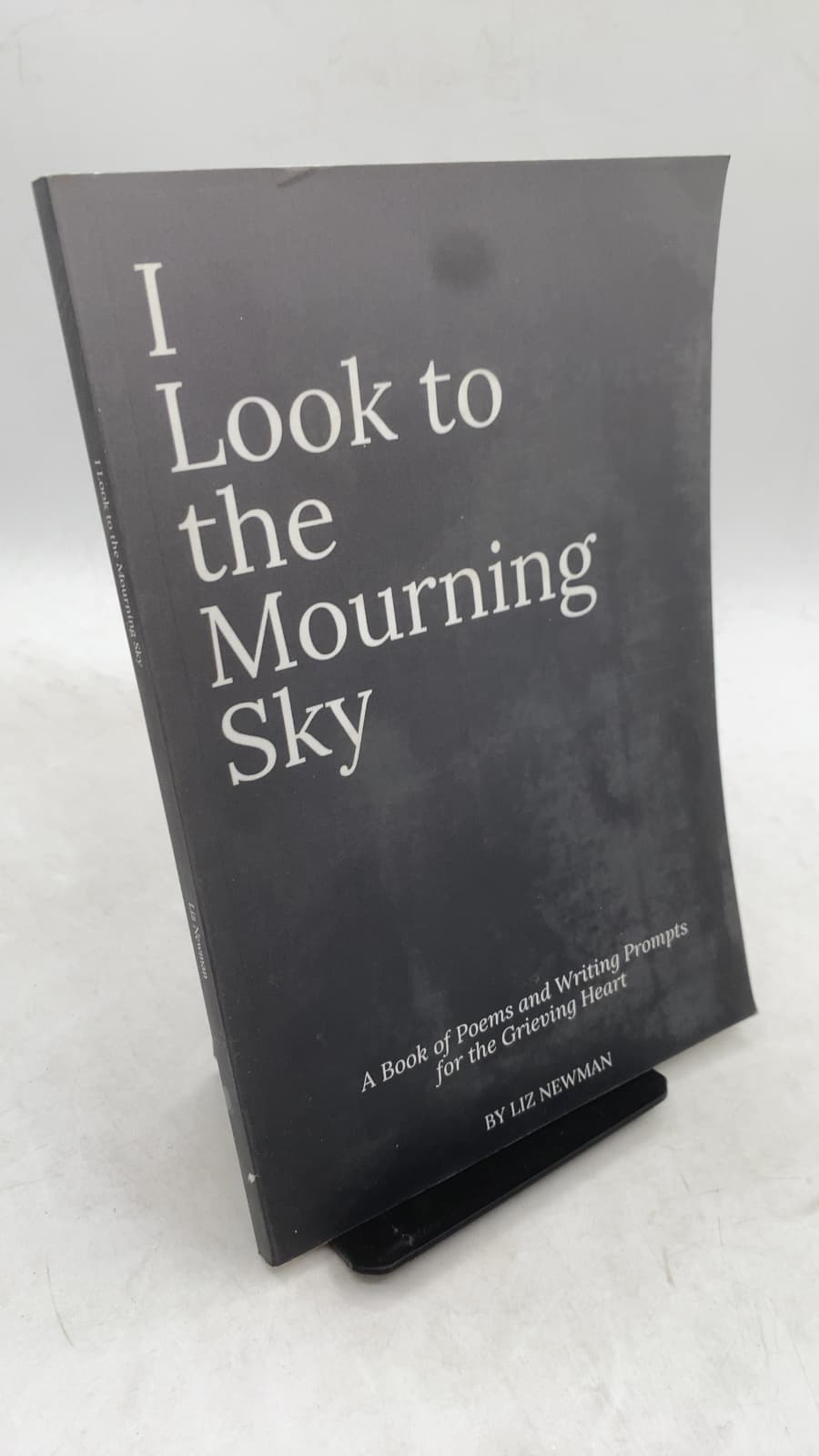 I Look to the Mourning Sky: A Book of Poems and Writing Prompts for the Grieving Heart