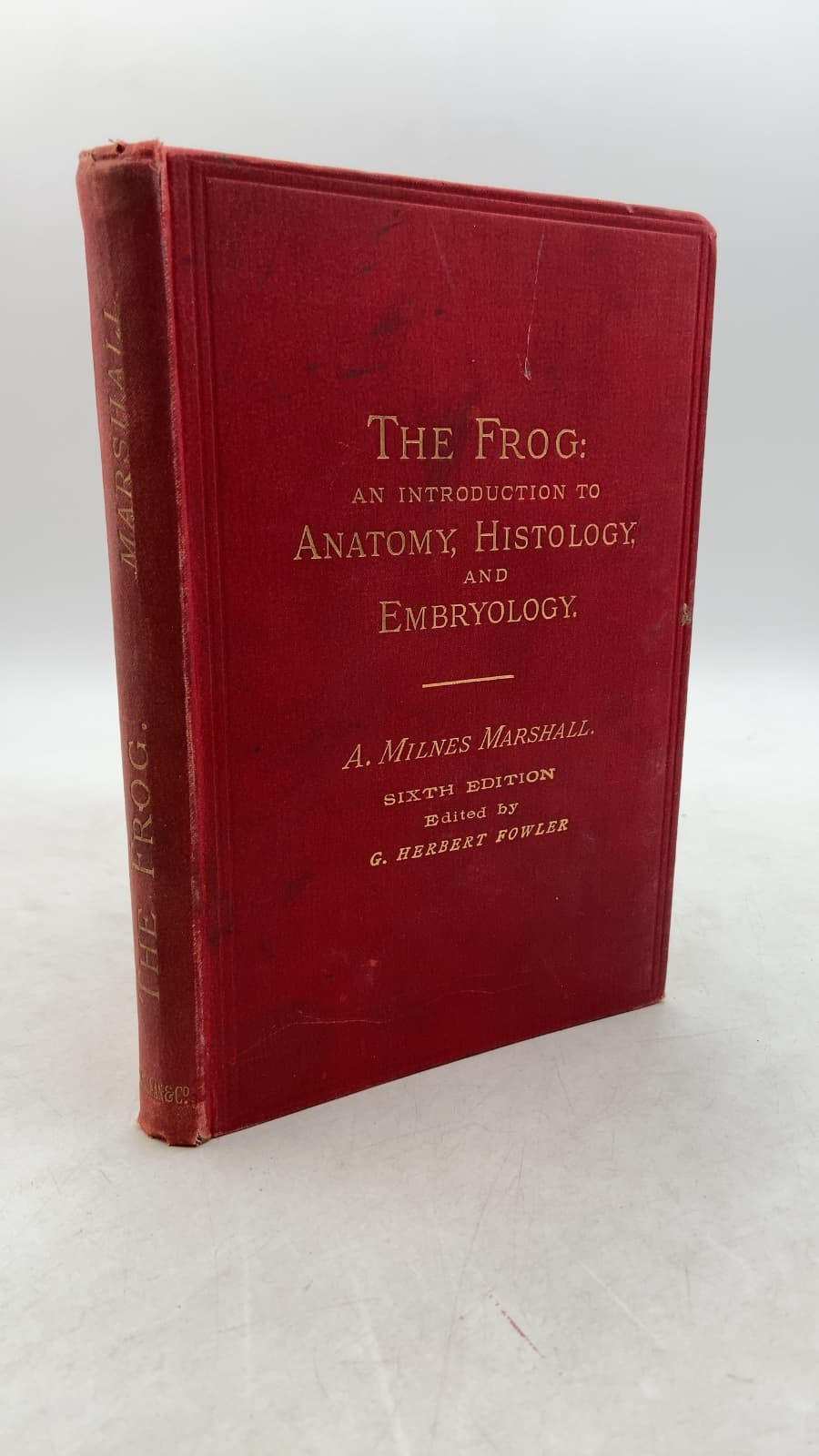 The Frog: An Introduction to Anatomy, Histology, and Embryology by A. Milnes Marshall - front cover
