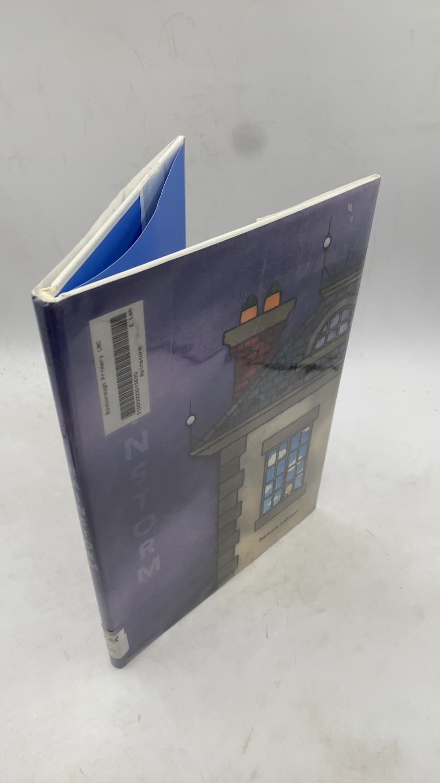 Rainstorm by Barbara Lehman - front cover