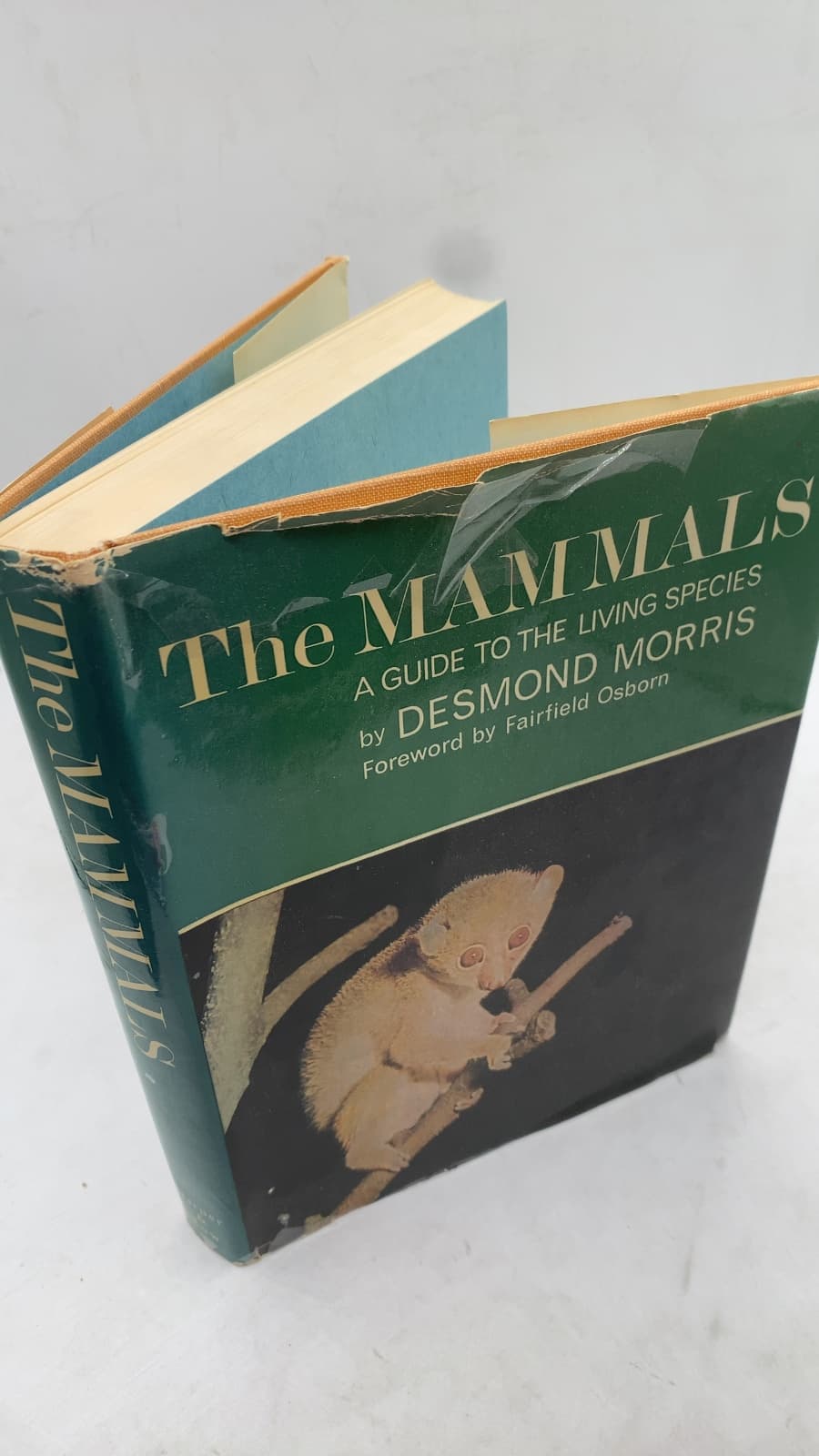 The Mammals: A Guide to the Living Species by Desmond Morris - front cover