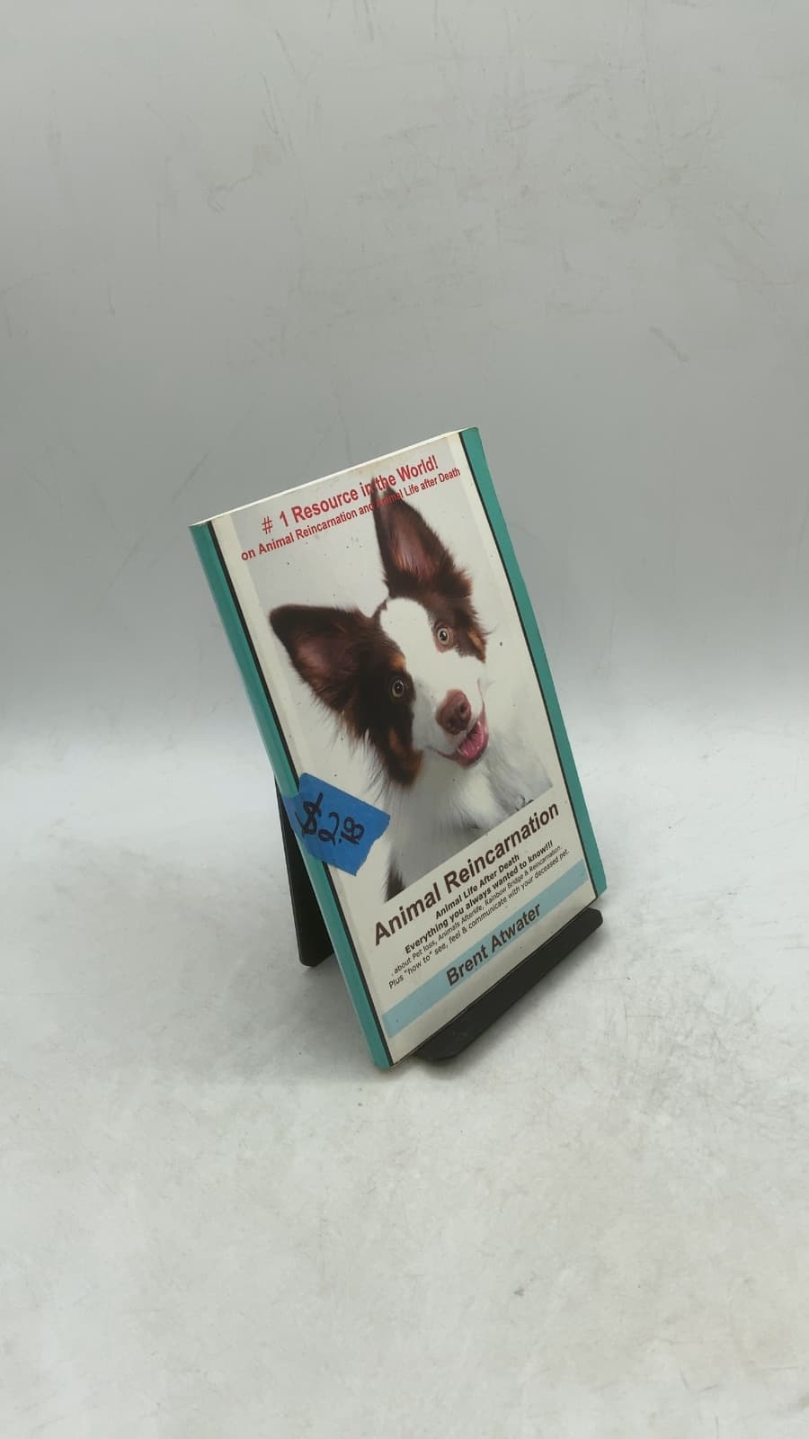 Animal Reincarnation & Animal Life after Death by Brent Atwater - front cover
