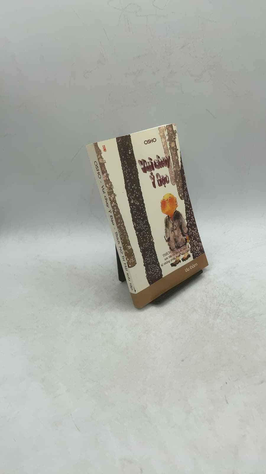 Vui Chay Ý Đạo by Thích Nữ Trí Hải (compiled from Osho's teachings) - front cover