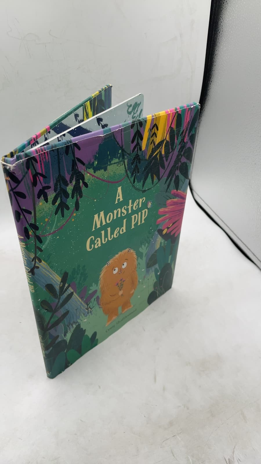 A Monster Called Pip by Craig Shuttlewood - front cover