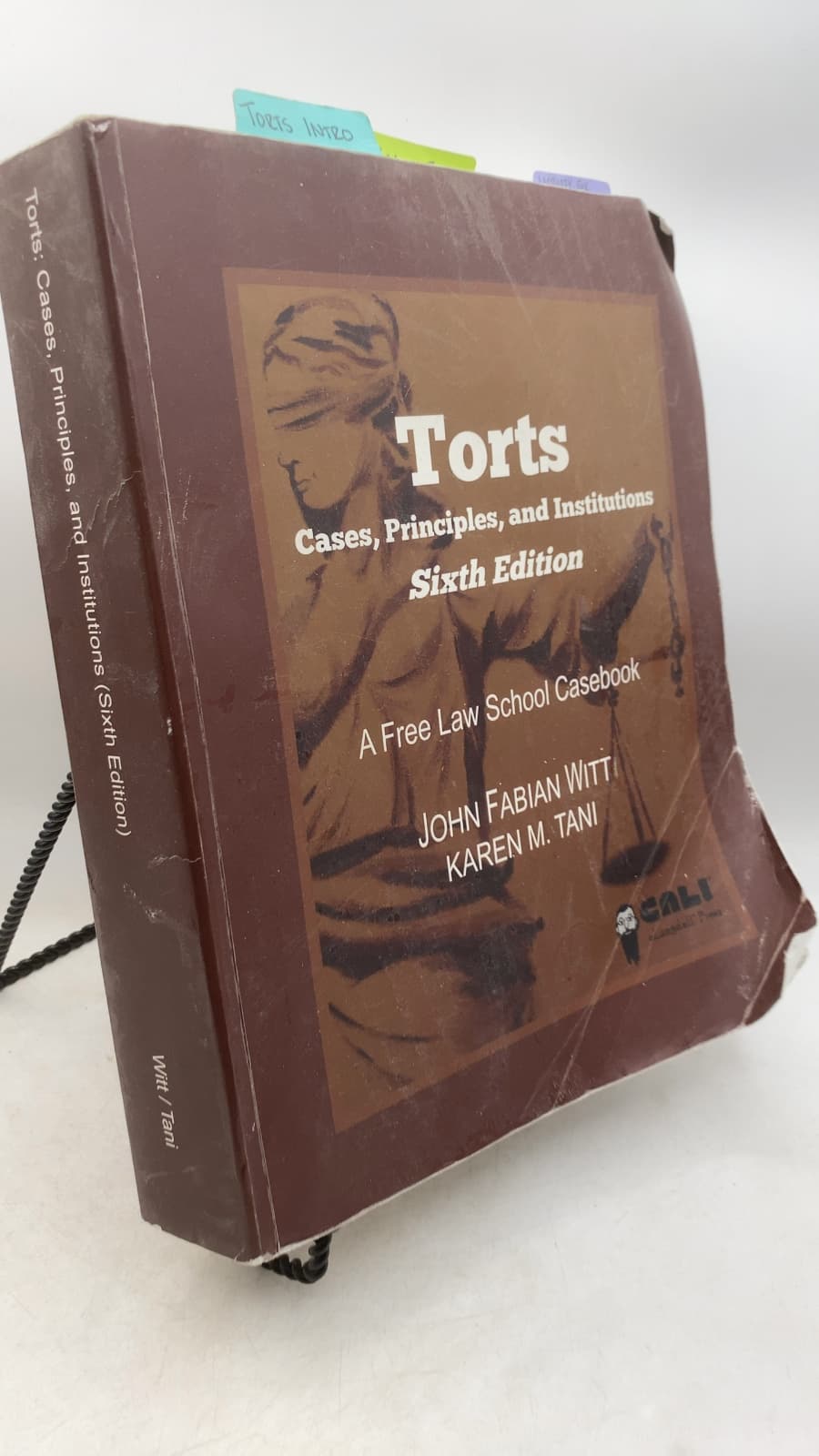 Torts: Cases, Principles, and Institutions